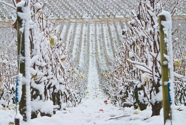 champagne paysage neige