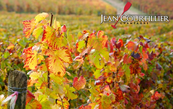 vieille vigne courtillier